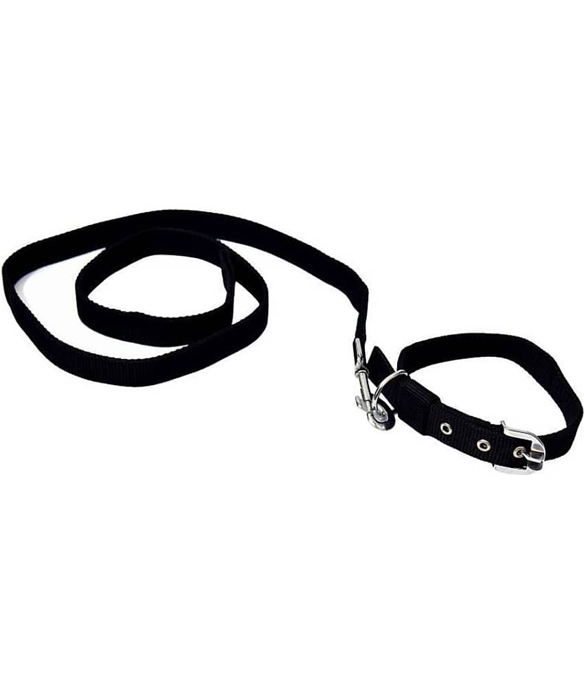 Tame Love - Red Dog Combo (Medium)