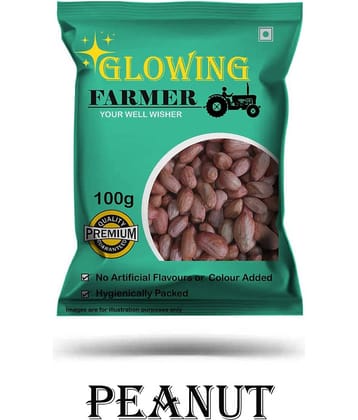 GLOWING FARMER Raw Peanut Seeds / Mungphali Dana 100 gm