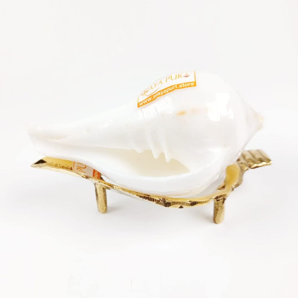 MAYAPURI Original Non-Blowing Authentic Puja Jal Shankh with Brass Sankh Stand, Pooja Jal Shankha, Jani Wala Shankh, Size Small Approx 3 inches (Pack of 1 Set) - Pooja Needs | Buy online on ZillyBuy