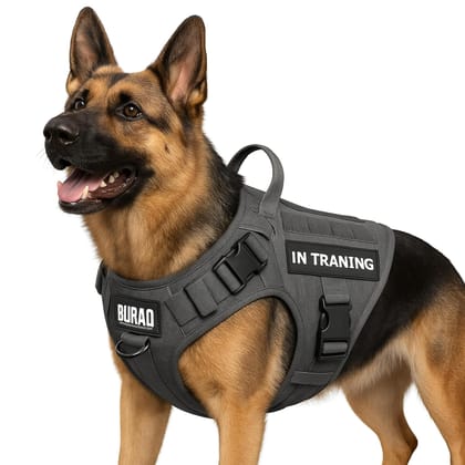 No Pull Tactical Dog Harness for Large Dogs-Black / M
