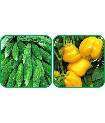 Aero Seeds Capsicum Yellow ( 30 Seeds) And Bitter Gourd ( 30 Seeds) Vegetable Seeds Pack