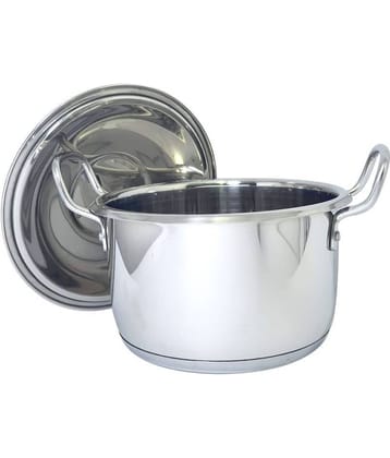 bartan hub Induction Pot No Coating Stainless Steel Tope 23 cm 3000 mL