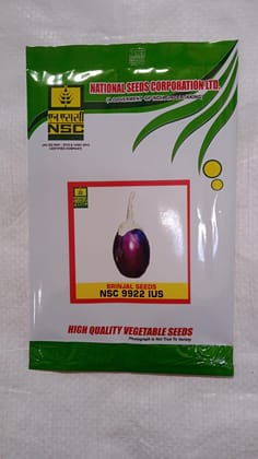 NSC Brinjal/ NSC 9922 IUS, 10gm