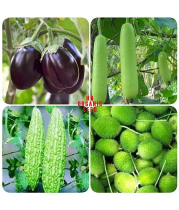 Vegetable Seeds combo for Kitchen Garden - 25+ Seeds | Easy to Grow with Instruction Manual