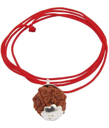 Astrodidi 6 Mukhi Rudraksha Pendant With Lab Certificate
