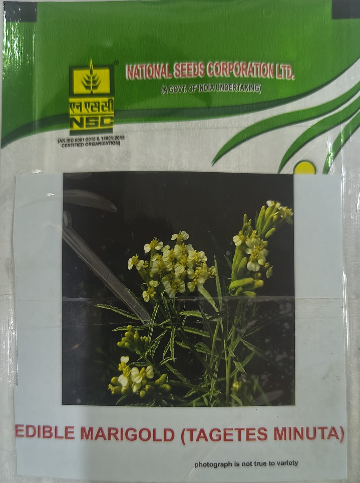 NSC Edible Marigold Tagetes Minuta Seed,5 gm