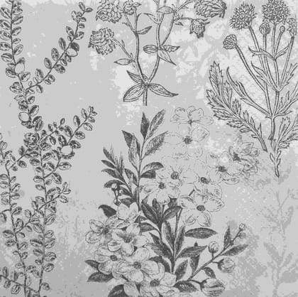 Decoupage Napkin / Tissue papers - GT1728