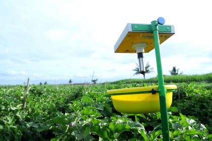 King Catcher Mini  by Palvi industries