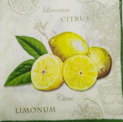 Decoupage Napkin / Tissue papers - 25cm*25cm - GT3241