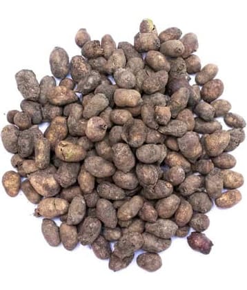 Nutrixia Food Jamun Seeds/जामुन के बीज /Syzygium Cumini/Jamun 50 gm