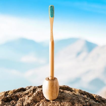 Bamboo Executive Toothbrush with Holder ( combo Pack )