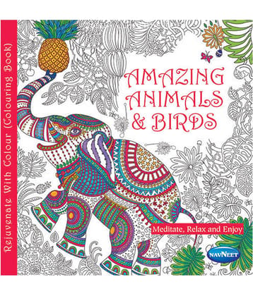 Navneet Adult Colouring - Book 1