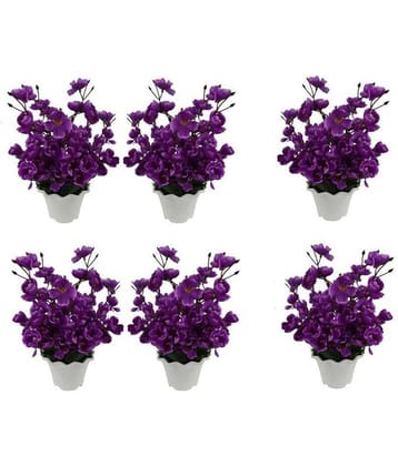Green plant indoor Orchids Multicolour Flowers With Pot - Pack of 6