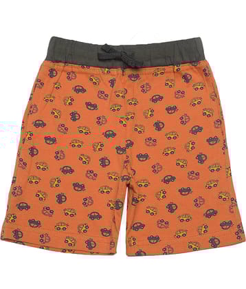 Dollar Champion Kidswear Pack of 1 Cotton Shorts For Boys ( Multicolor )