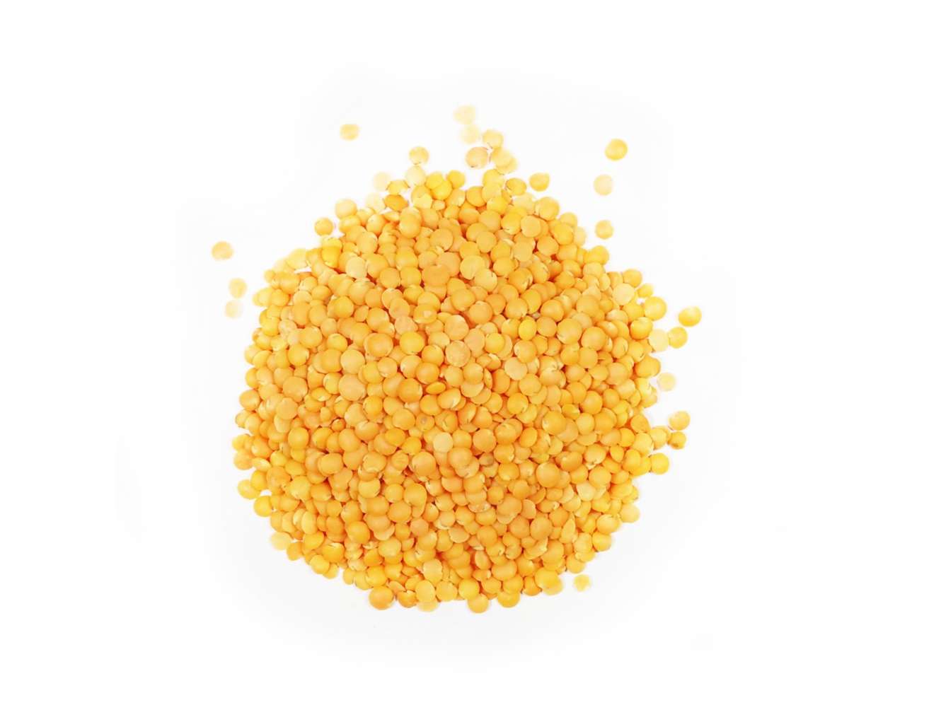 Ekgaon Unpolished Desi Masoor Dal – Malka (Whole grain & washed Red Gram) (500g)