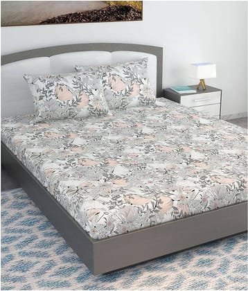 DIVINE CASA Cotton King Bedsheet ( Peach )