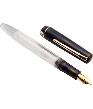 Srpc Click Black Bird Demonstrator Acrylic Fountain Pen Eyedropper System Golden Trims Marble Violet Cap