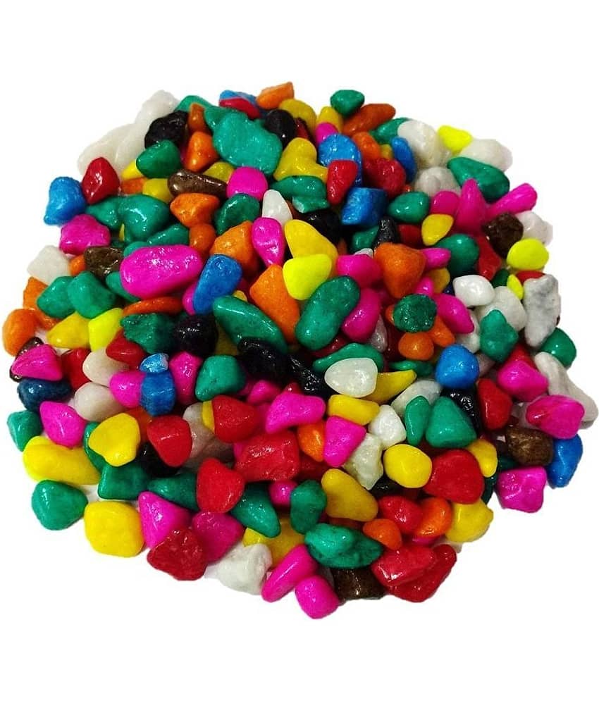 Somil Multicolor Pabbles/Stone For Garden, Plants, Aquarium & Home Decor Wt. 450g