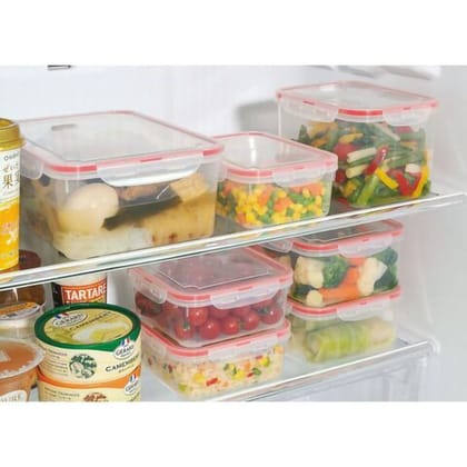 Plastic Food Container Rd-1300