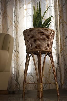 Eco-Friendly Plant Stand for Indoor Plants Eco-Friendly Plant Stand for Indoor Plants