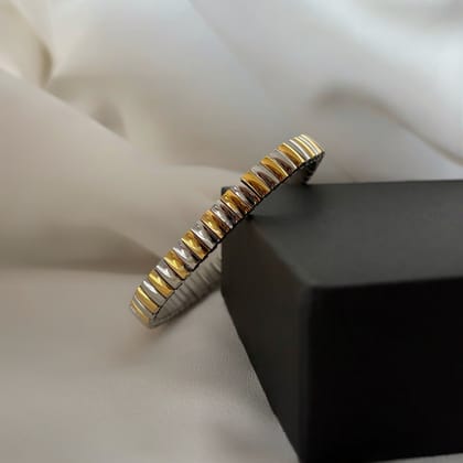 Antica two tone-Stainless Steel
