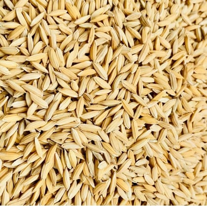 Brown rice