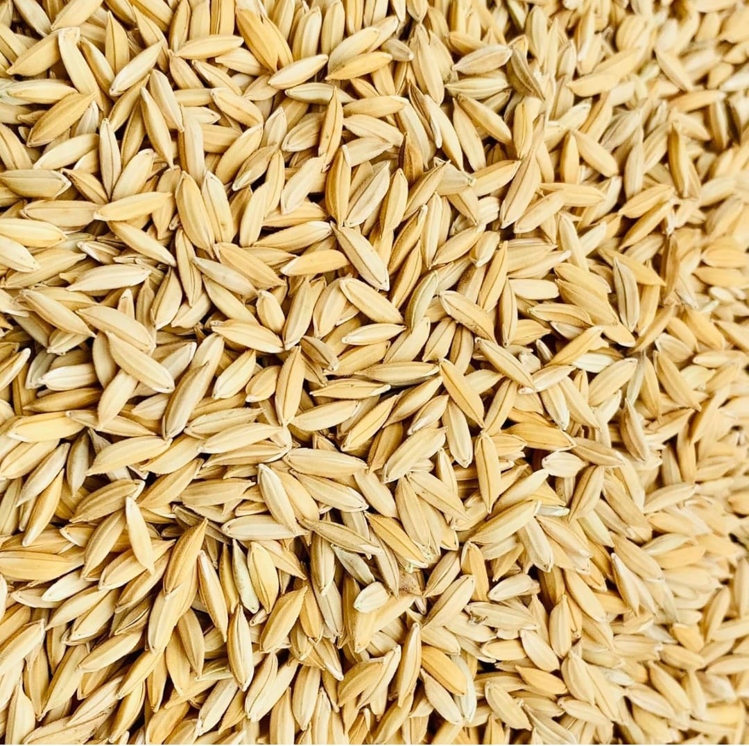 Brown rice
