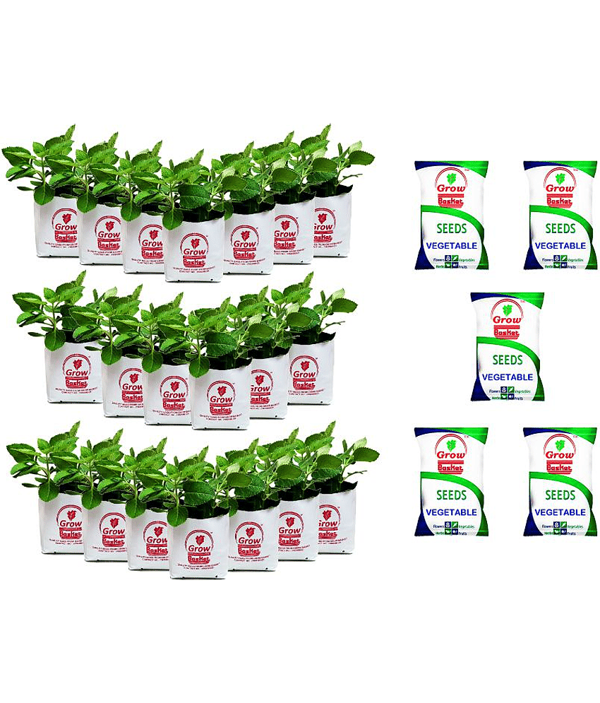 Grow bag for home gardening High Quality 150 Micron/600 Gauge | Pack of 20 Bags; Size: 30 x 16 x 16 cm with 5 veg seeds