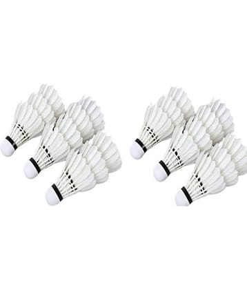 EmmEmm 20 Pcs Feather Shuttlecock Others
