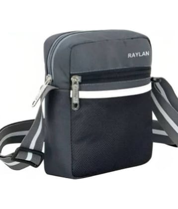 Raylan Grey Solid Messenger Bag