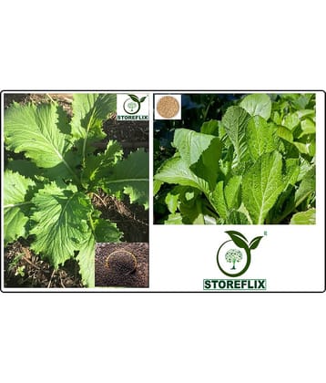 black mustard 200 seeds and white mustard 200 seeds pack with user manual for home kitchen gardening use