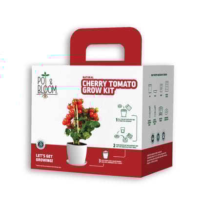 Cherry Tomato Kit