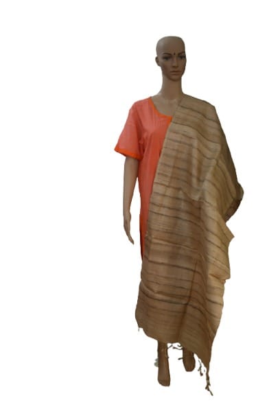 Pure Tussar Gheecha Natural Stole