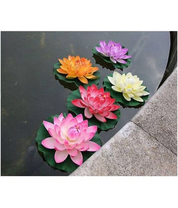 Alkarty 25 Mixed colorful lotus seeds