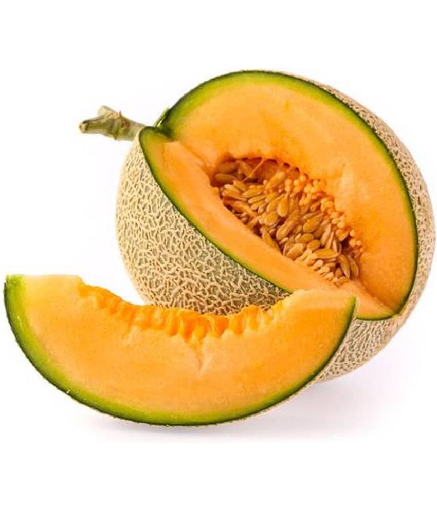 Musk Melon Golden Orange Flesh, Muskmelon Seeds, 50 Kharbuja Seeds