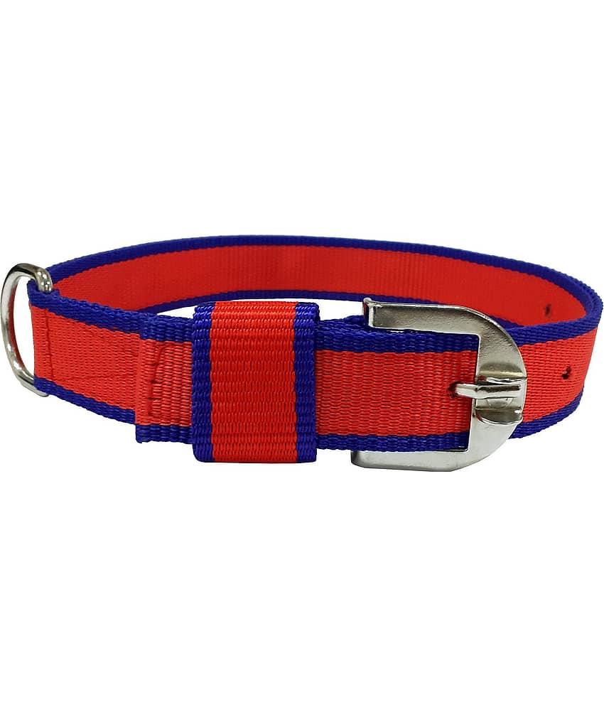 Dog Collar