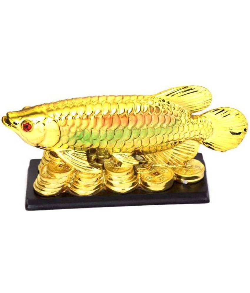 MTV Life Arowana Fish