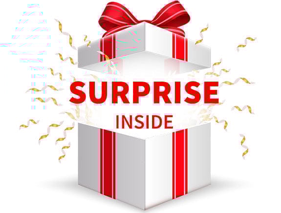 Surprise Gift worth  Rs 500