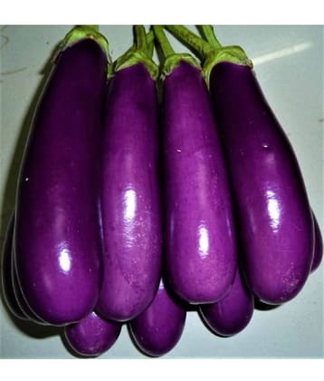 Brinjal Purple Long - Desi Vegetable Seeds