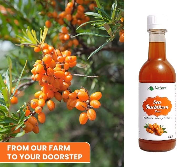Sea buckthorn 500ML