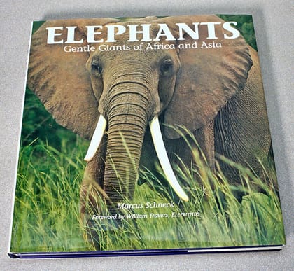 Elephants: gentle giants of Africa and Asia
