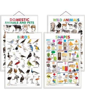Set of 4 Domestic Animals and Pets, Wild Animals, Birds and Shapes Early Learning Educational Charts for Kids | 20"X30" inch |Non-Tearable and Waterproof | Double Sided Laminated | Perfect for Homeschooling, Kindergarten and Nursery Students