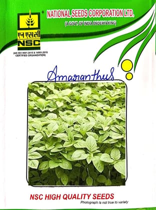 NSC-AMARANTHUS-ARKA SUGUNA-100 GMS SEEDS NSC-AMARANTHUS-ARKA SUGUNA-100 GMS SEEDS