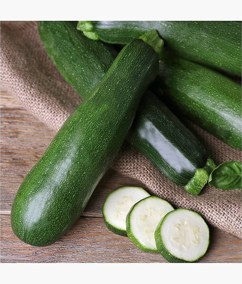 Green india vegetables squash fress hybrid seeds