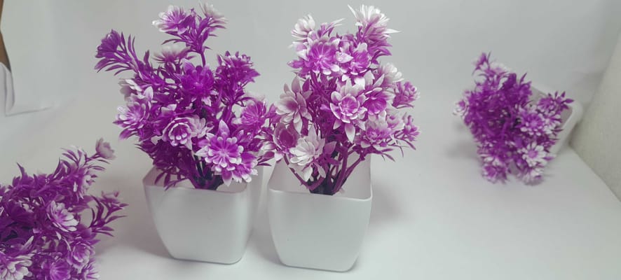 Abhilasha Enterprises