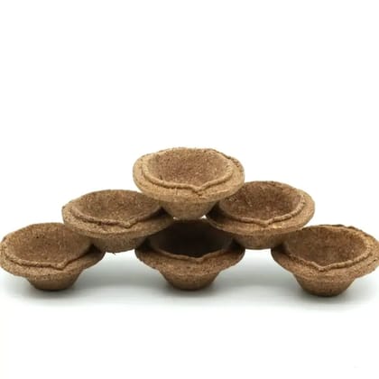 Cowdung Lamp 12 PIC