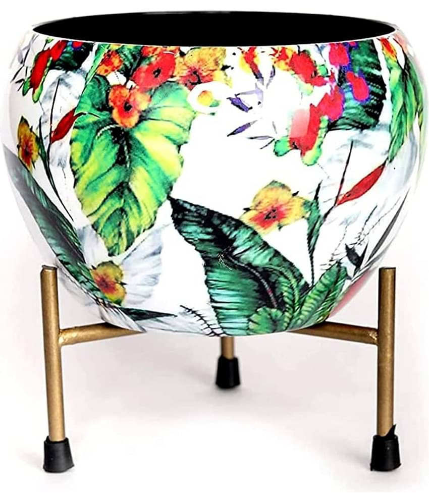 HOMSSY - Green Metal Decorative Pots ( Pack of 1 )