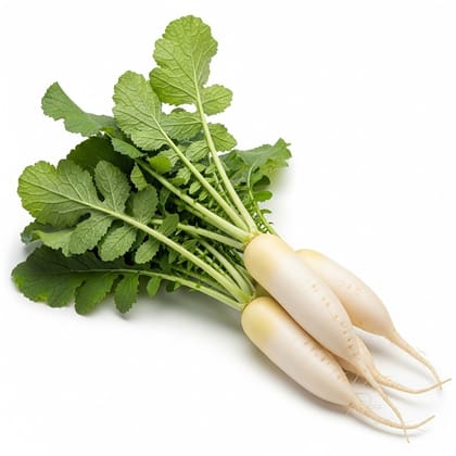 Fresh Radish (Mooli) - 1 Kg by Prosopyaaree
