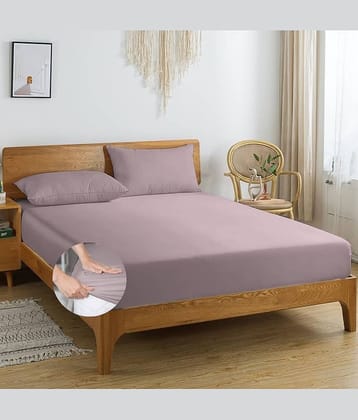 Apala Microfibre 1 King Fitted Bedsheet with 2 Pillow Covers ( 198 cm x 182 cm ) , Lavender