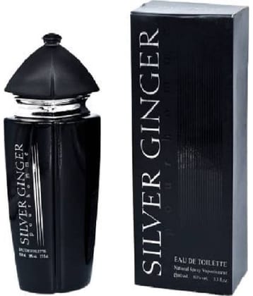 BN parfums - BN PERFUMS SILVER GINGER Eau De Toilette Eau De Toilette (EDT) For Unisex 1 ( Pack of 1 )